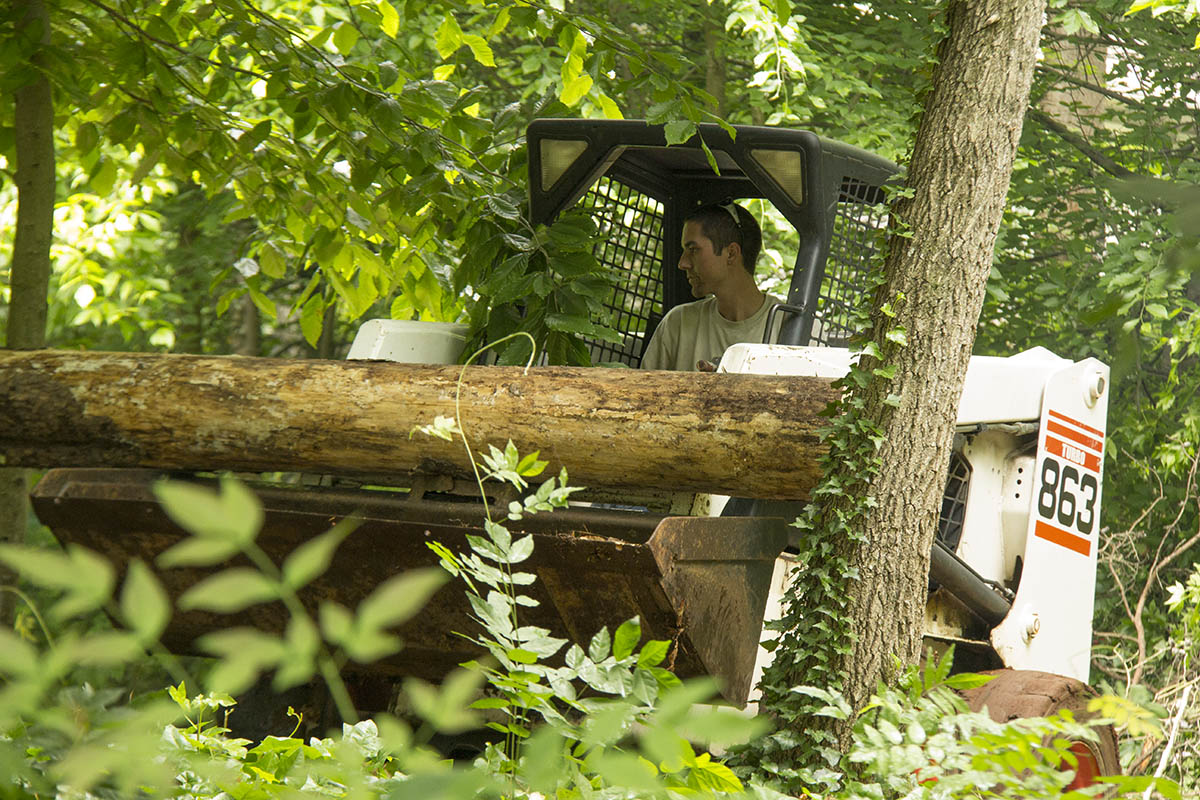 Greensboro tree removal bobcat stump removal