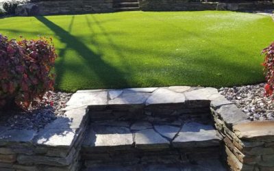Choosing Synthetic Grass | 7 Tips to Help You Choose Well