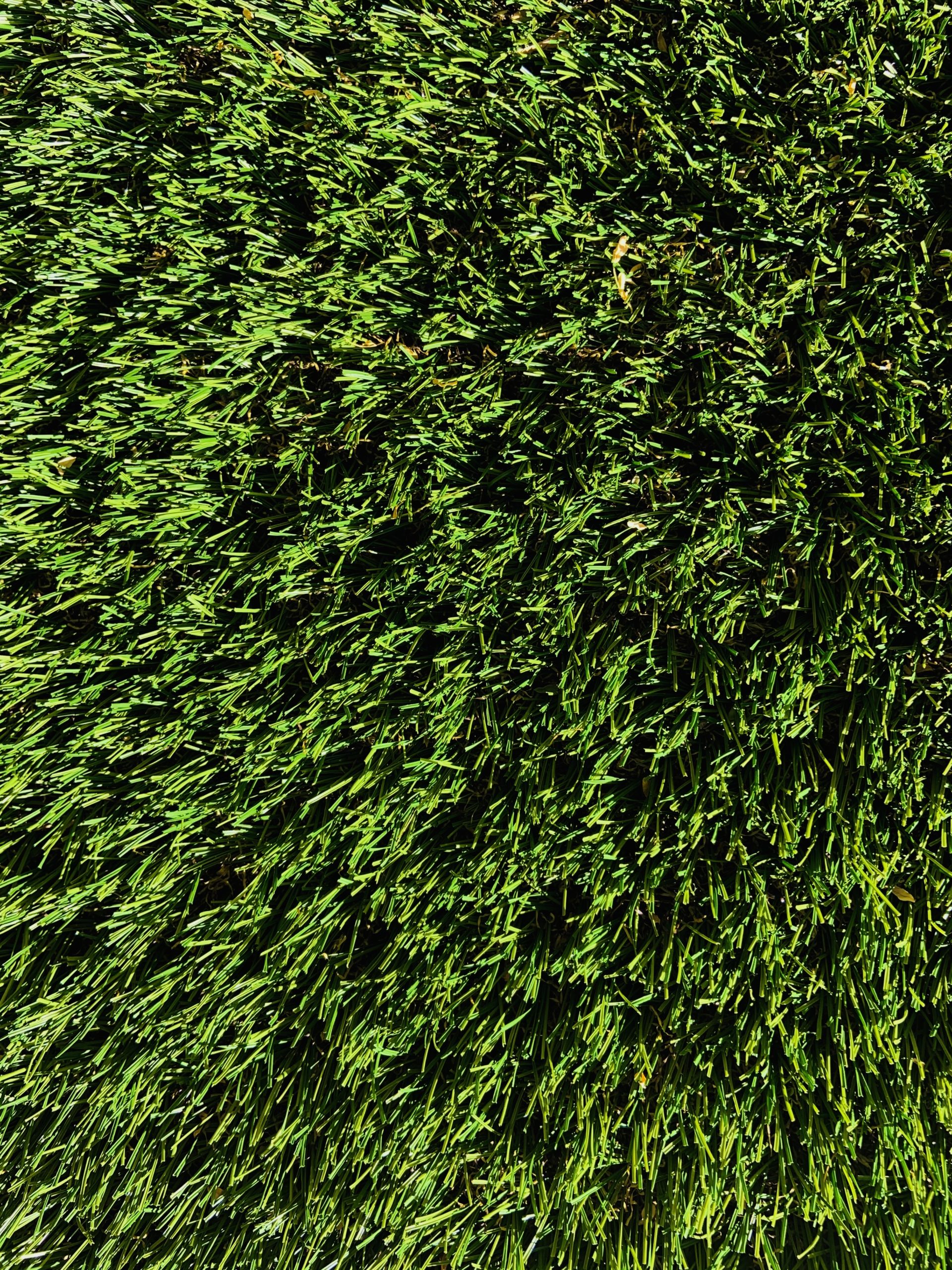 5 Reasons Why You Should Invest in Synthetic Grass Pro Earth Landscaping