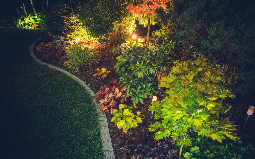 illuminated backyard design